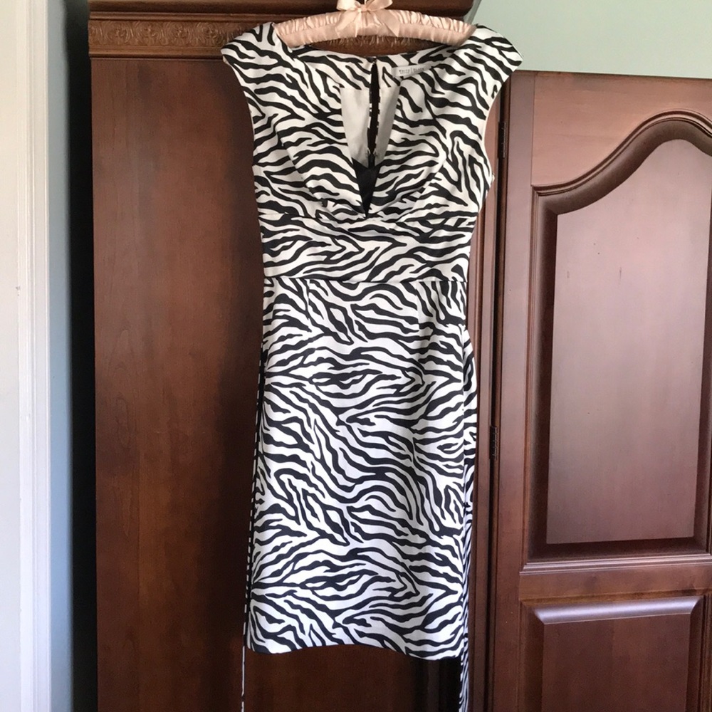Silk zebra print dress